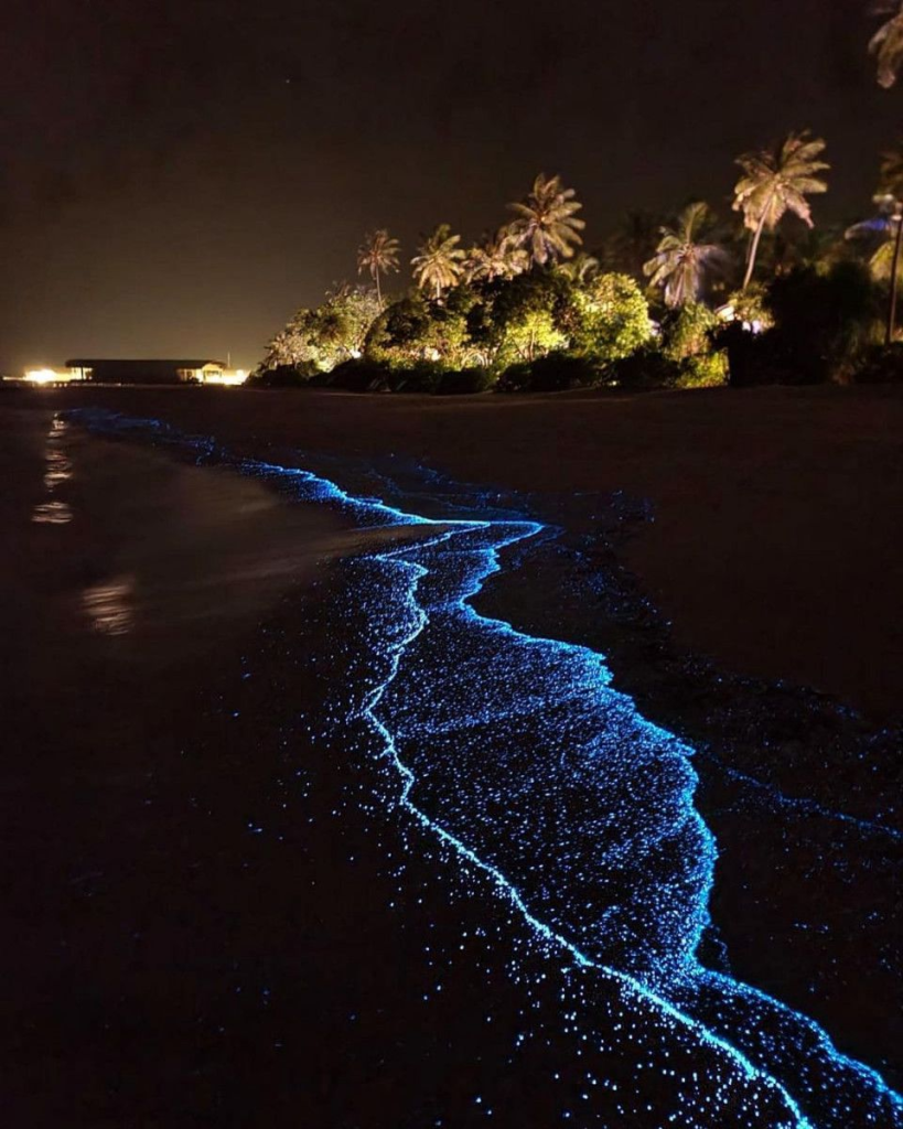 Playa bioluminiscente en Maldivas de noche